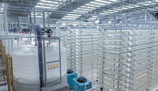 光反应器培藻设备